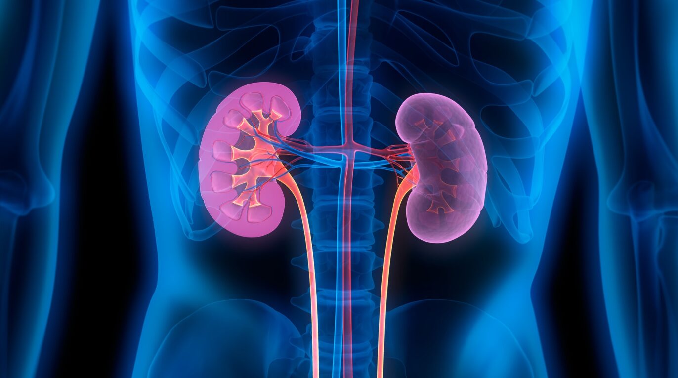 Future Prospects and Market Overview of the Kidney Cancer Drugs Market