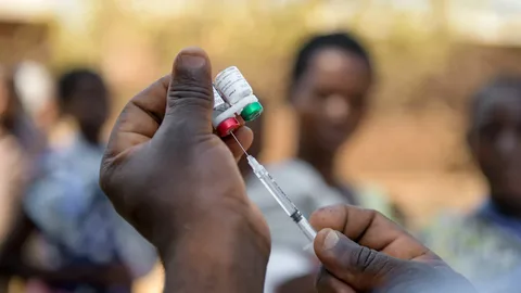 Affordable Malaria Vaccine to Launch in Africa in May, Aiding in Fight Against Deadly Disease
