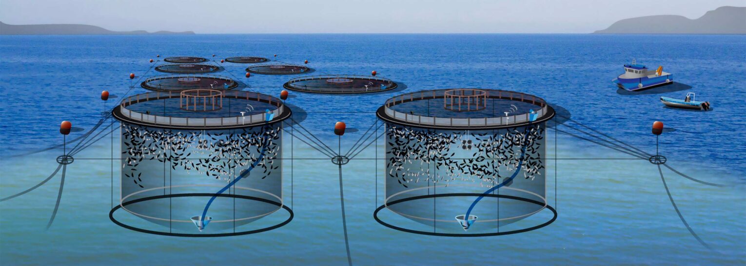 U.S. Aquaculture Chemicals Market: U.S. Aquaculture Industry’s Growing Reliance On Chemicals