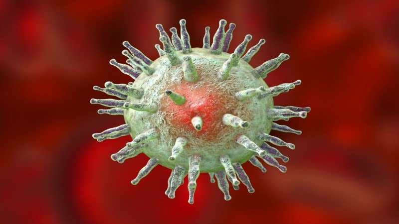 Epstein – Barr virus Monovaccine Market is Estimated to Witness High Growth Owing to Increasing Epidemiology of Infectious Mononucleosis